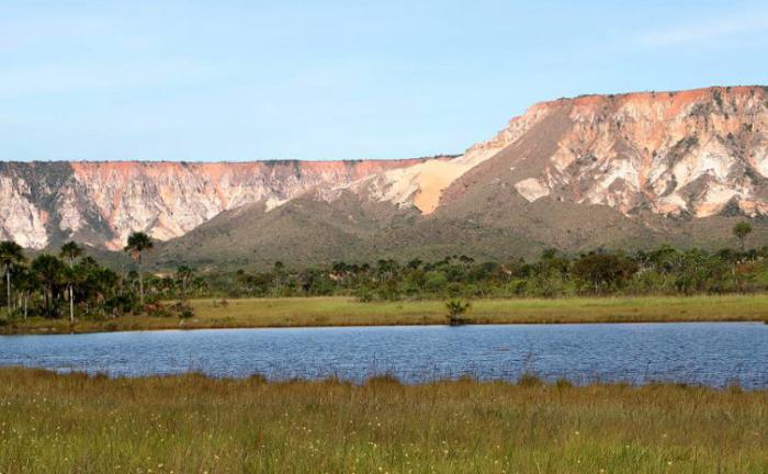 Governo do Tocantins