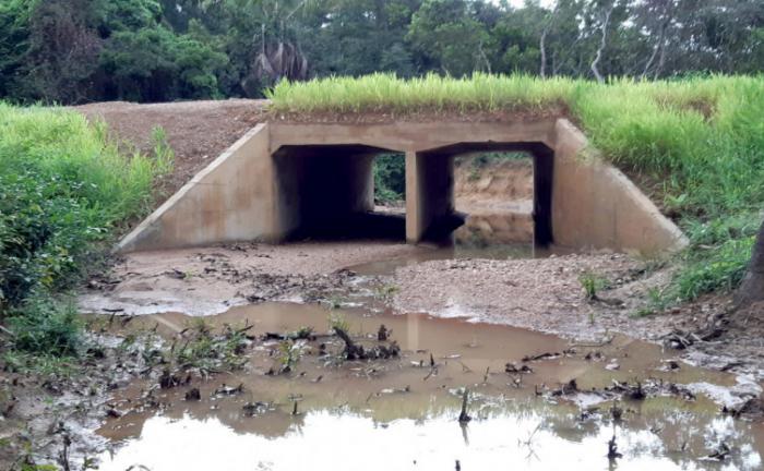 Governo do Tocantins