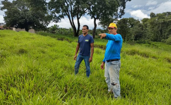 Governo do Tocantins