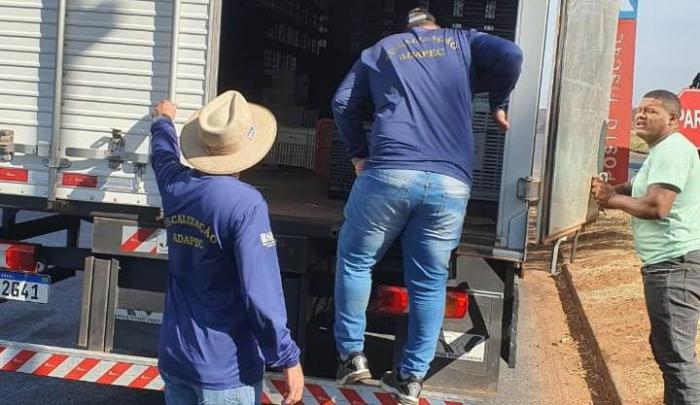 Foto da noticia