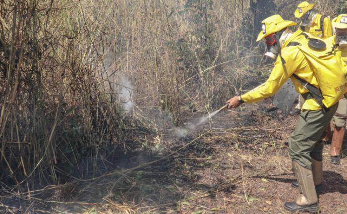 Corpo de Bombeiros Militar do Tocantins