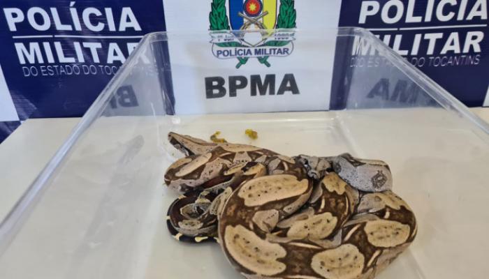 Foto da noticia