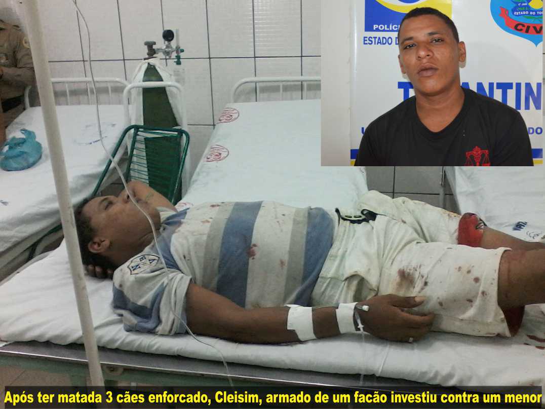 imagem do site www.tocnoticias.com.br