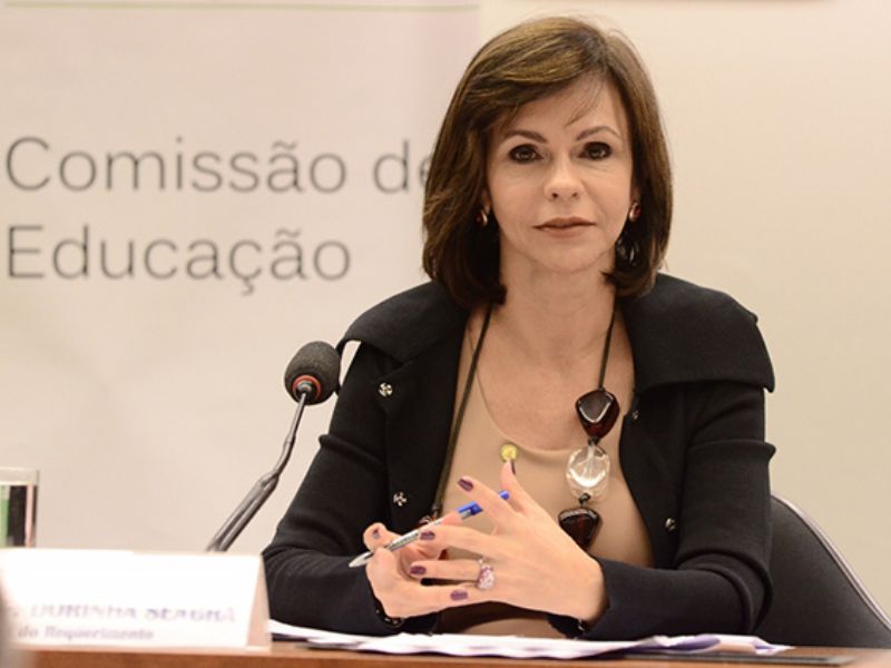 Ascom/Deputada Professora Dorinha
