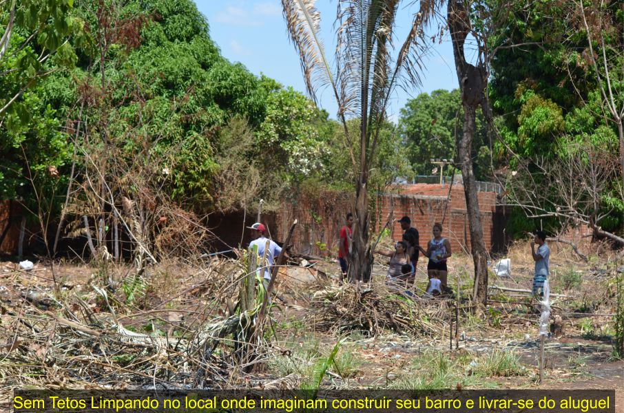 imagem do site www.tocnoticias.com.br