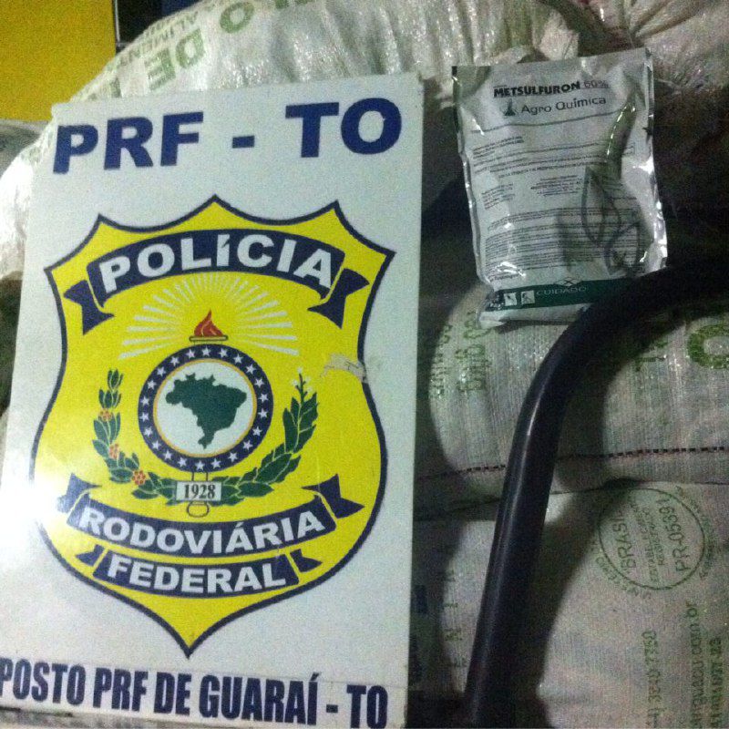 (Foto: Divulgação/PRF-TO)