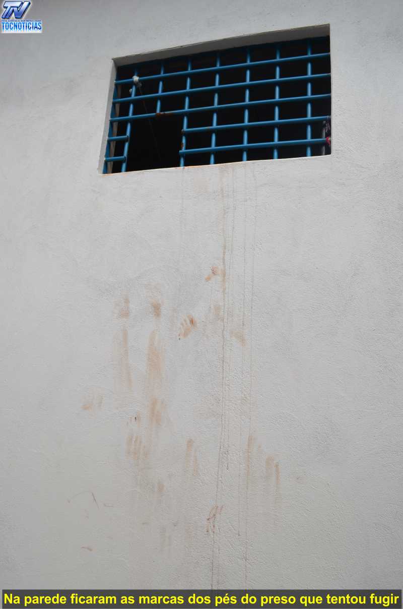 Foto do Site www.tocnoticias.com.br